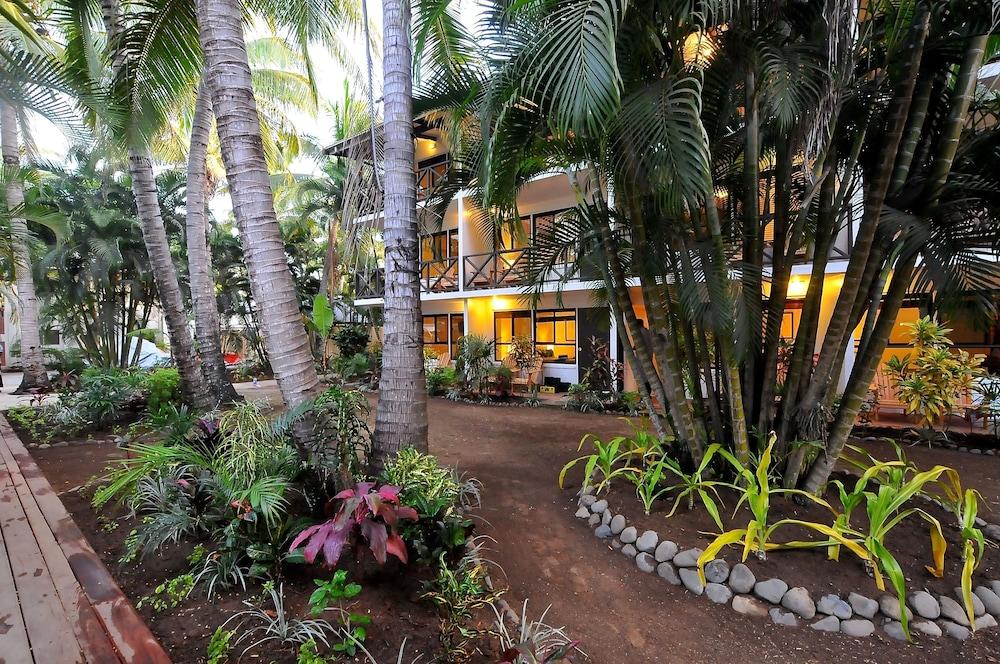 מלון נאדי Oasis Palms מראה חיצוני תמונה